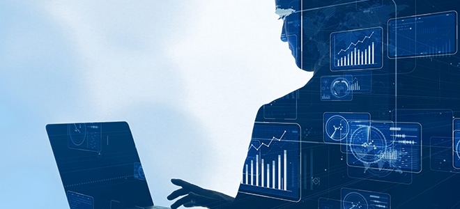 Data scientist job role and description